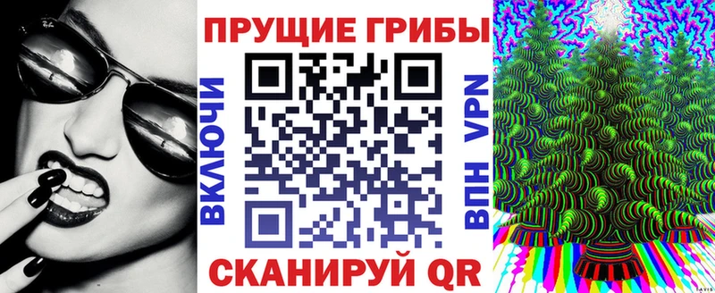 мега ONION  Гаджиево  Галлюциногенные грибы Cubensis 
