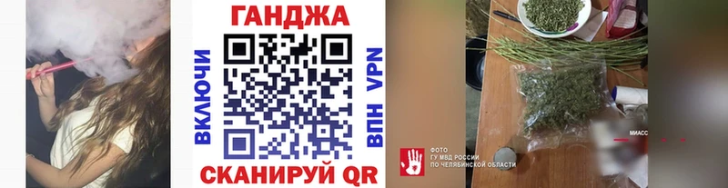 купить наркотик Гаджиево Каннабис сатива